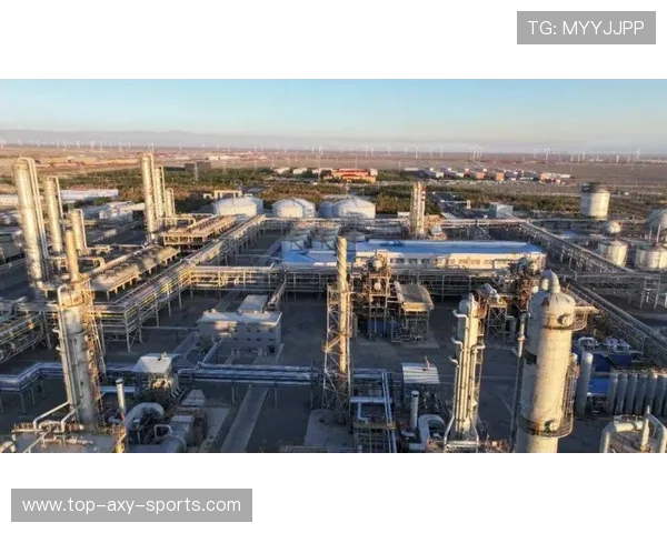 新疆广汇产业格局升级与区域经济协同发展的新探索